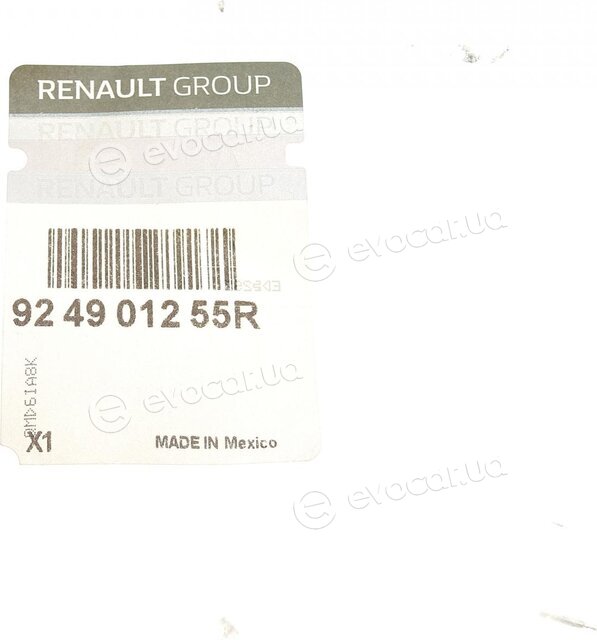 Renault / Nissan 924901255R