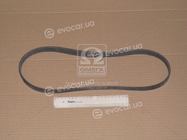 Continental 6PK1033 ELAST