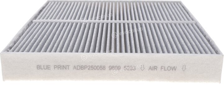 Blue Print ADBP250058