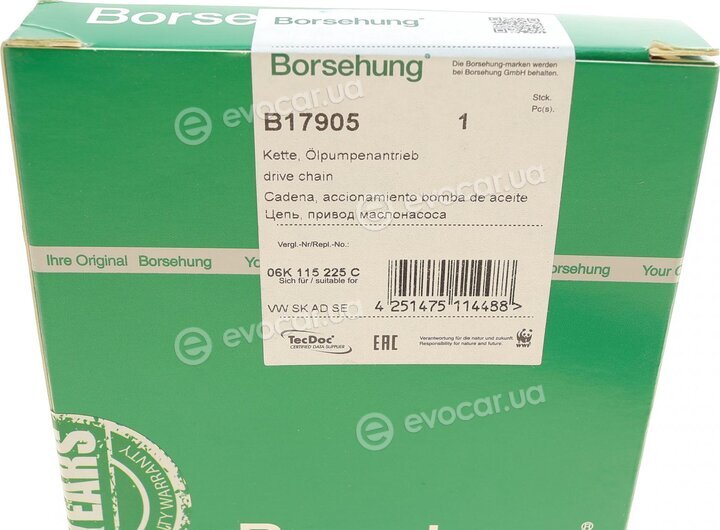 Borsehung B17905