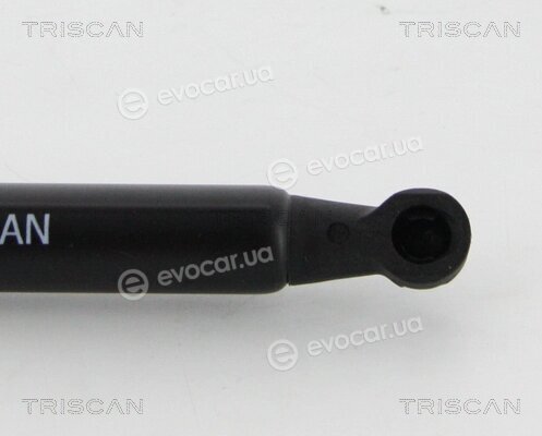 Triscan 8710 28294