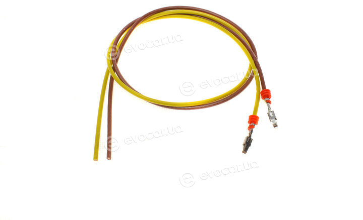 Solgy 412008