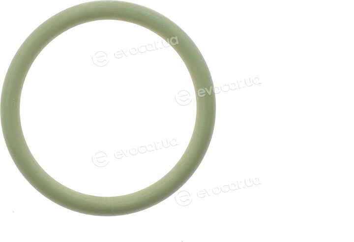 Elring 585.200