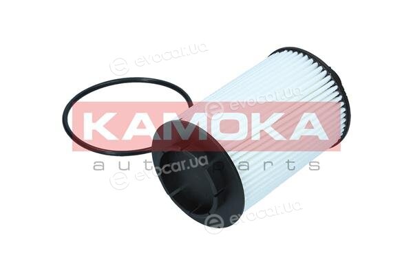 Kamoka F121001