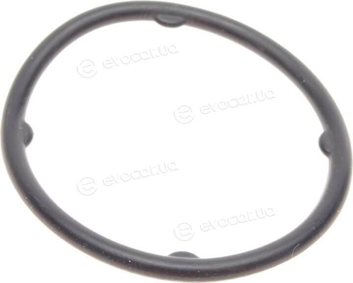 Elring 550.130