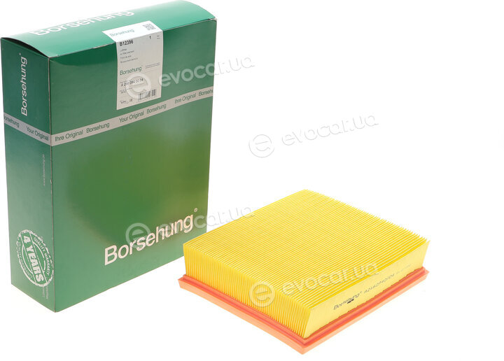 Borsehung B12396