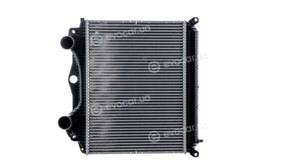 Mahle CI 123 000P