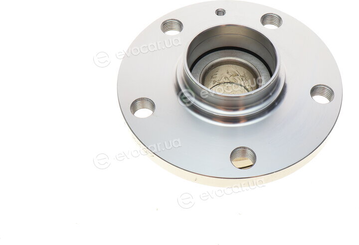 Borsehung B15946
