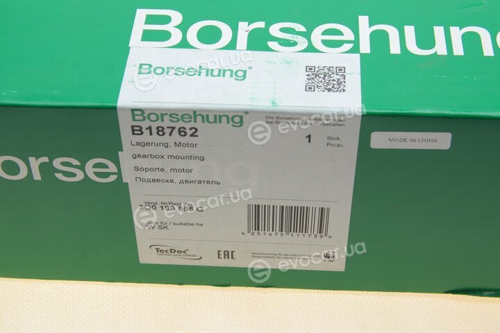 Borsehung B18762