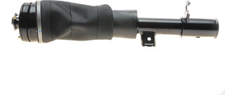 Arnott AS-2795