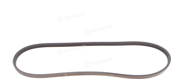 Hutchinson 798 SK 3