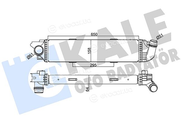 Kale 352480