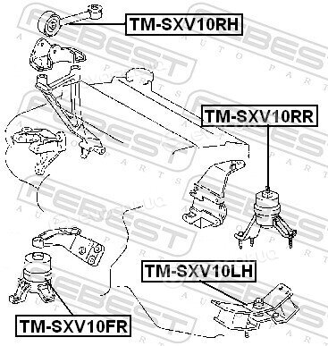 Febest TM-SXV10RR