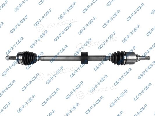 GSP 259509