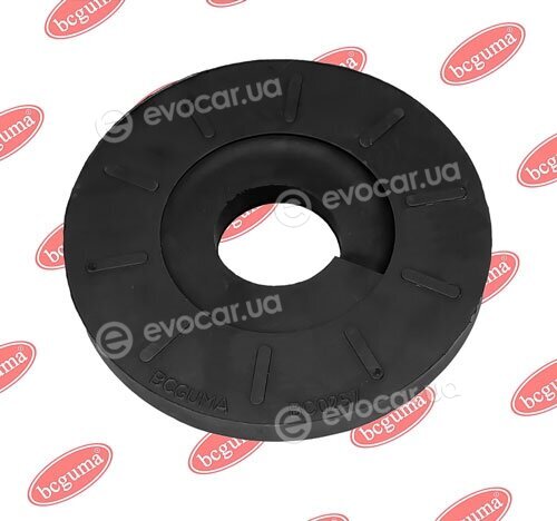 BC Guma 0257