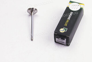 BGA V531004