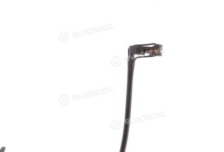 Solgy 402018