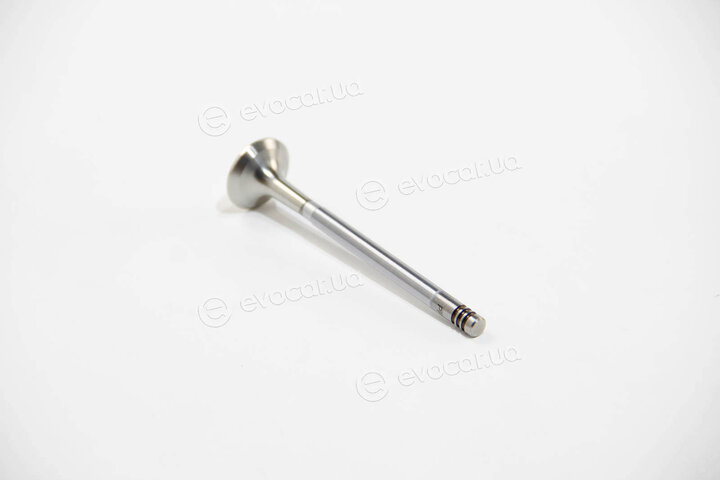 BGA V165071