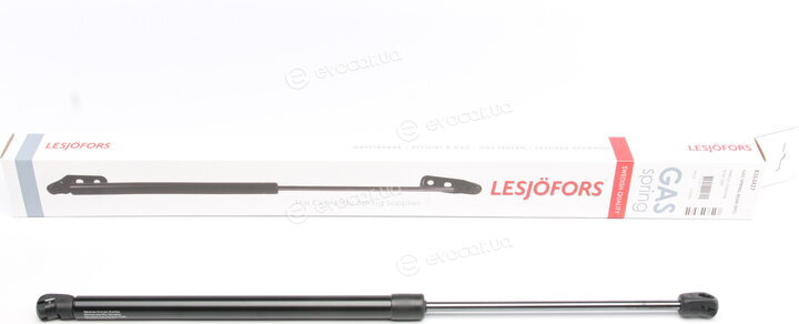 Lesjofors 8163427