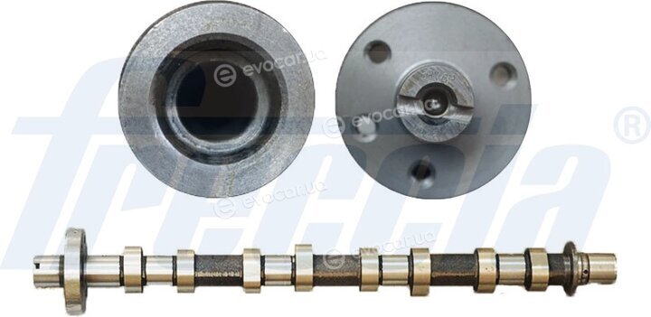 Freccia CM05-2194