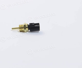 Vernet / Calorstat WS3041