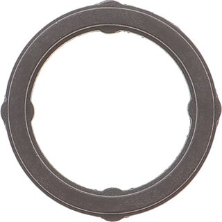 Elring 760.610