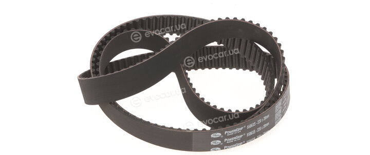 Gates K015586XS
