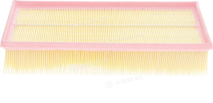 Solgy 103054