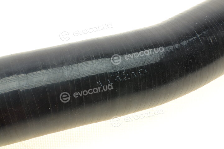 Solgy 114210