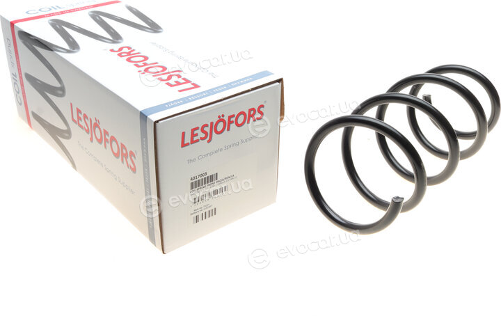 Lesjofors 4017003