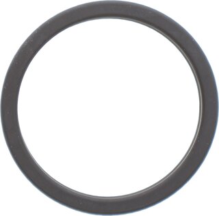 Elring 218.580