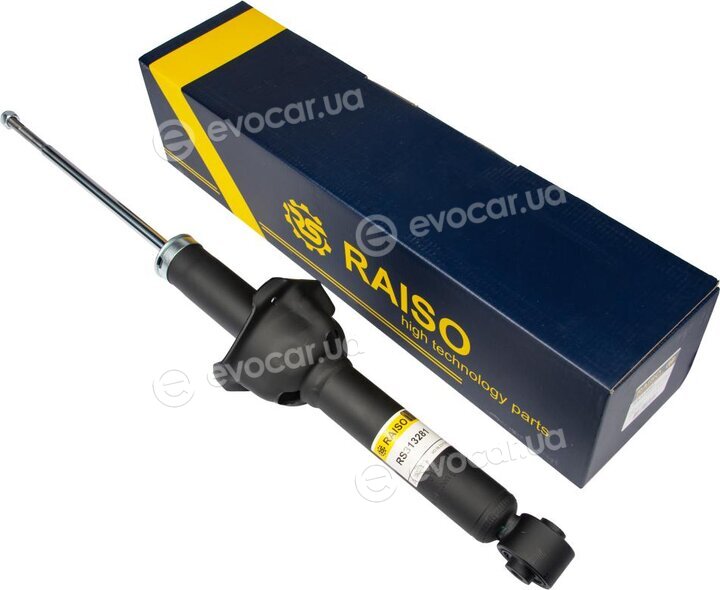 Raiso RS313281