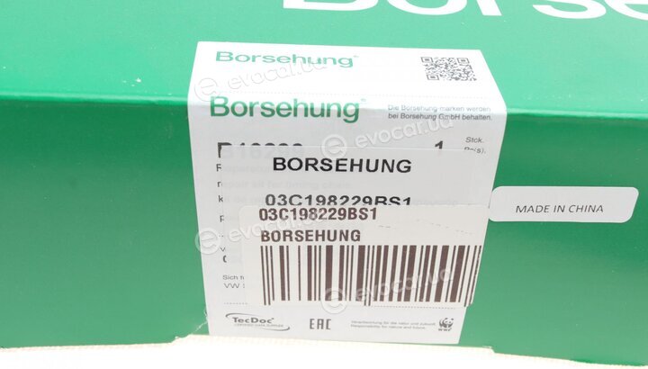 Borsehung 03C198229BS1