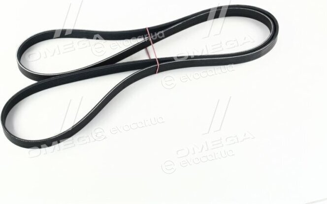 Continental 6PK2310