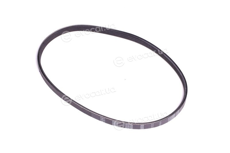 SKF VKMV 4PK735