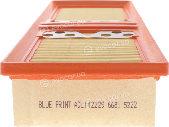Blue Print ADL142229