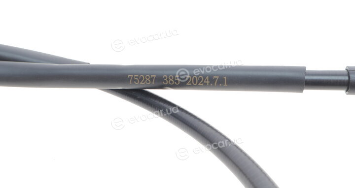 AIC 75287