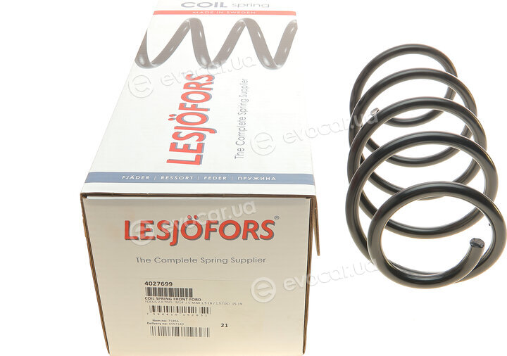 Lesjofors 4027699