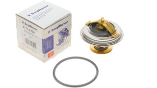 Wahler / BorgWarner 4116.87D1