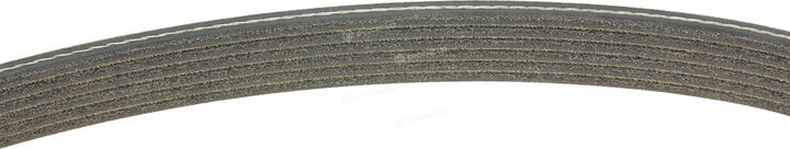 Continental 6DPK1825