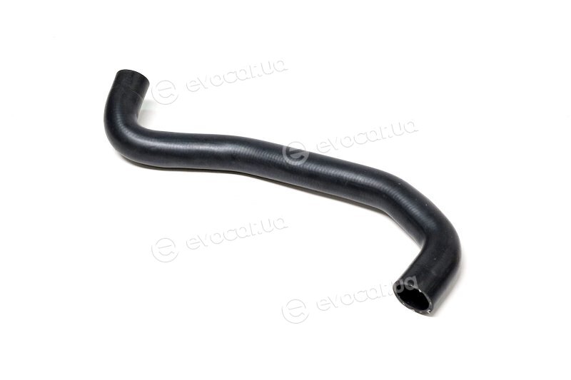 Sasic 3400067
