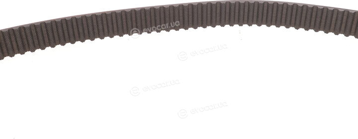 Motive TBK4988WP