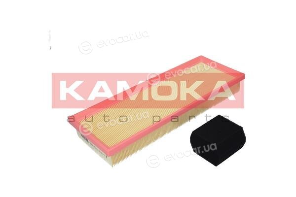 Kamoka F239701