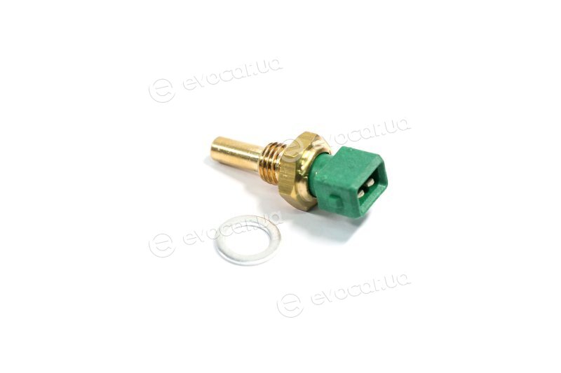 Sasic 3250007