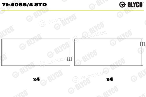 Glyco 71-4066/4 STD