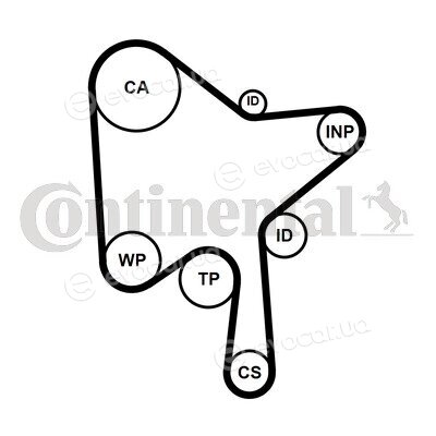 Continental CT1216WP1