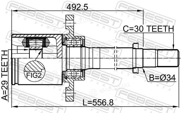 Febest 0211-T31ATRH