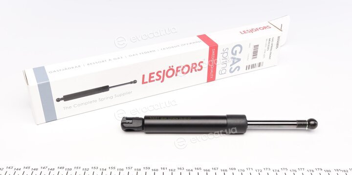 Lesjofors 8056805