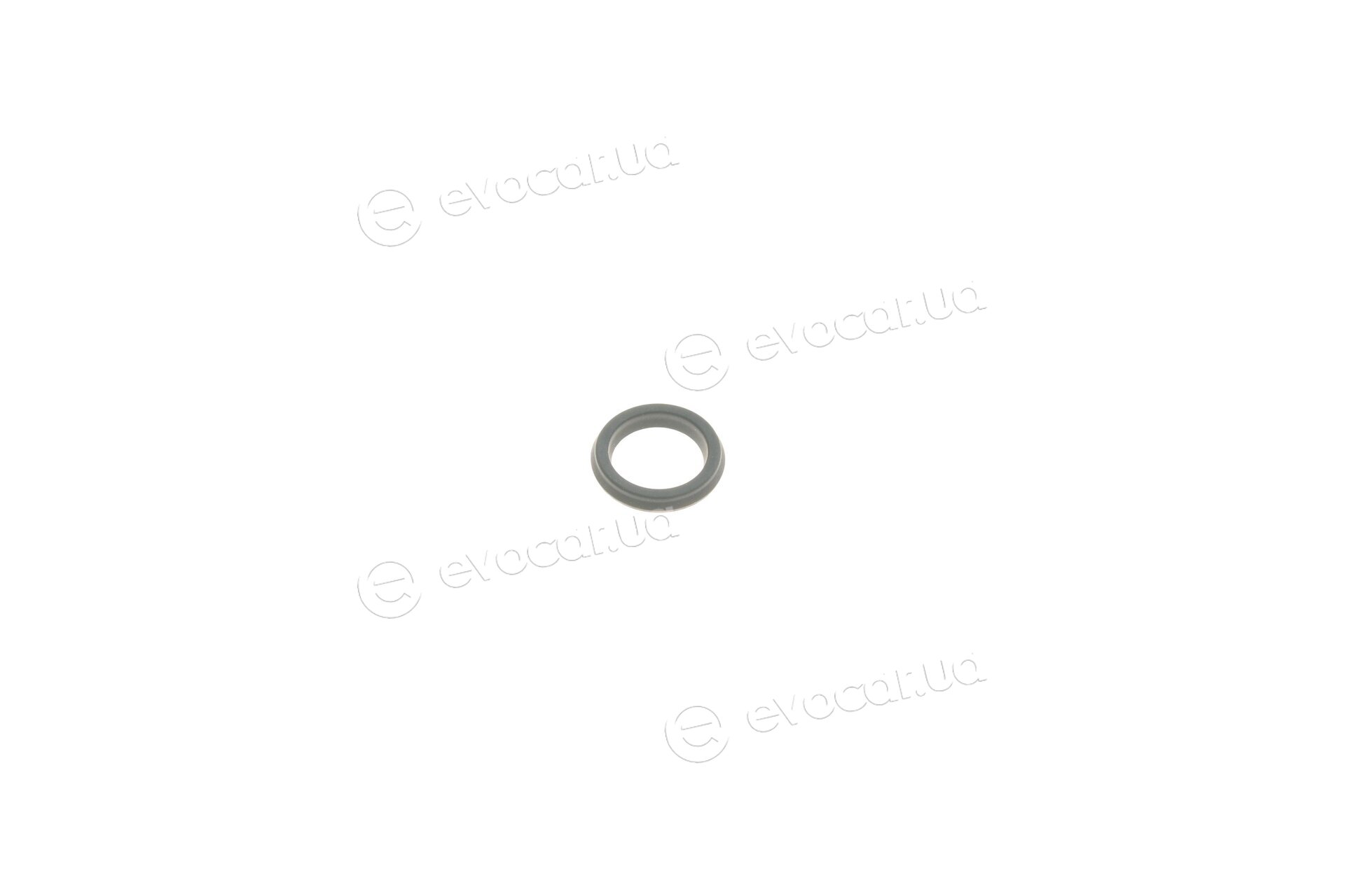 Frenkit 243902