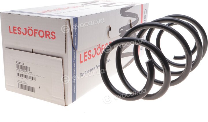 Lesjofors 4008518